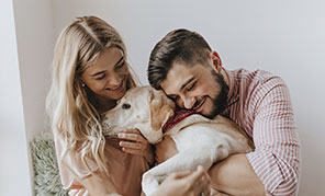 Entenda o que acariciar um cachorro pode fazer pelo seu cérebro