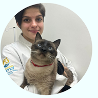 Médica veterinária clínica geral