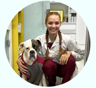 Médica veterinária clínica geral