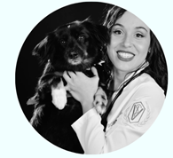 Médica veterinária clínica geral