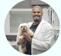 Médico veterinário clínico geral